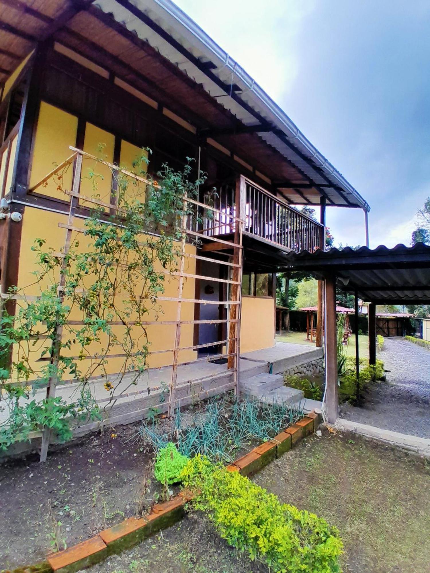 Casa Campo Valle De Cocora 萨兰托 外观 照片