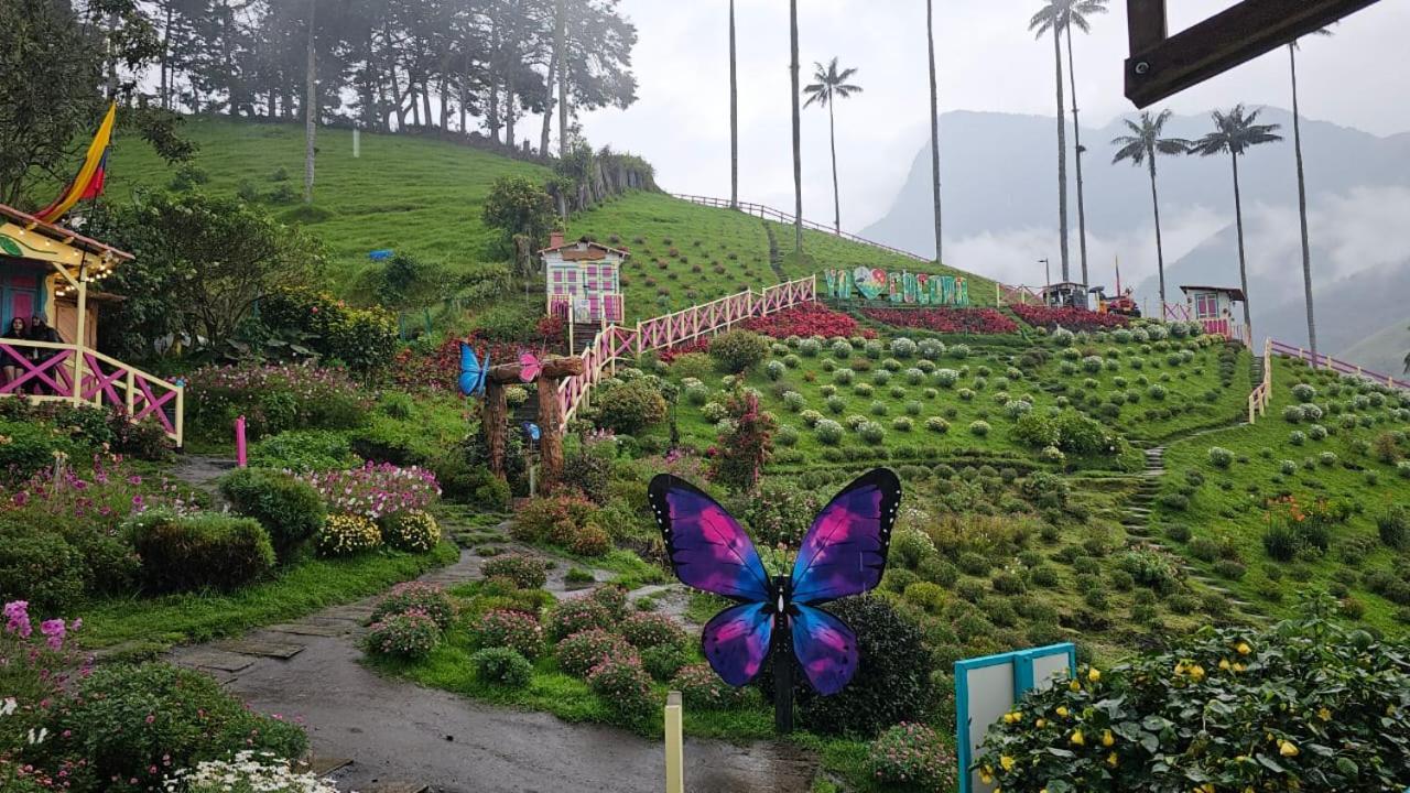 Casa Campo Valle De Cocora 萨兰托 外观 照片